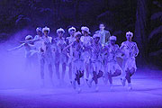 Schwanensee - The Imerpial Ice Stars im Prinzregententheater vom 29.03.-05.04.2010 (Foto. Ingrid Grossmann)